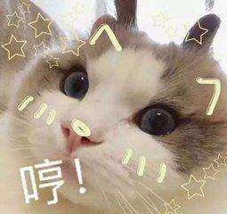 ί��è����è�������ͼ0