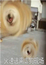 ��������Ű���ֳ������