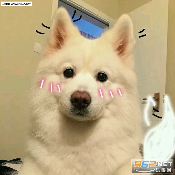 ��������Ű���ֳ��������ͼ0