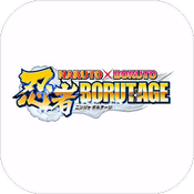 NxB NV(����X��������BORUTAGE������)