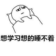 仿佛住在了蚊子窝表情包截图0