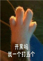 ��������һ�������è������