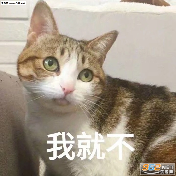 ��������һ�������è��������ͼ0