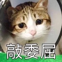 ��������һ�������è��������ͼ1