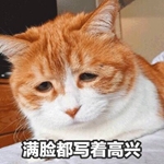 һֻ��������Ϸ��è�����