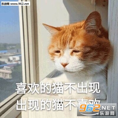 һֻ��������Ϸ��è�������ͼ2