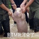 �����达�Ҷ������������