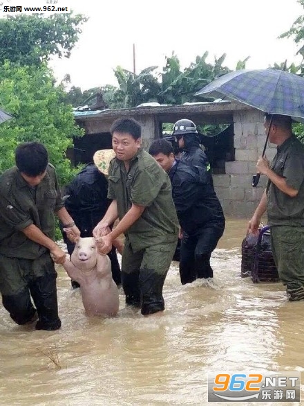 �����达�Ҷ��������������ͼ0