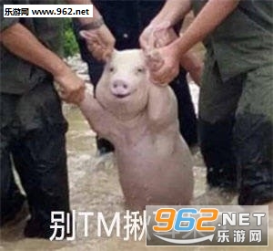 �����达�Ҷ��������������ͼ1
