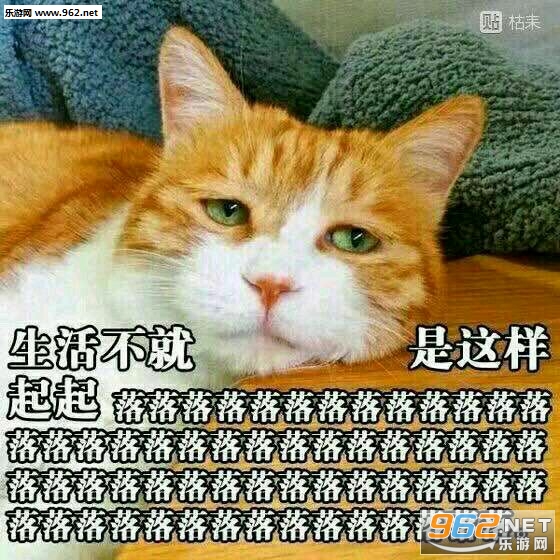 ����è�������ͼ1