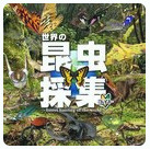 ���������� �饤�Ȱ�(����������ȡ)