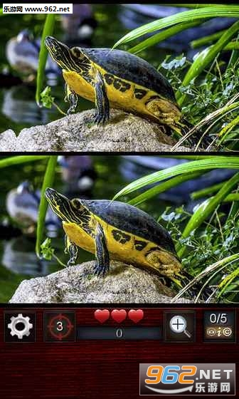 Find the Differences(找到差异300级游戏)截图3