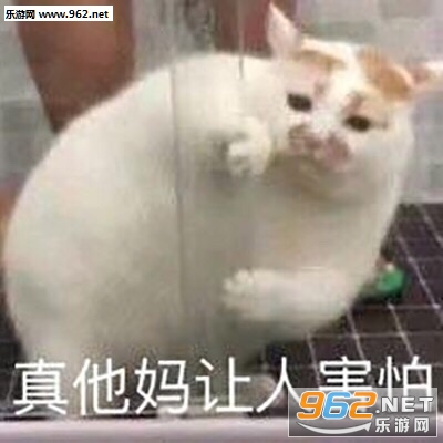���������˺����ȳ�������ͼ0
