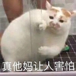 ���������˺����ȳ�����
