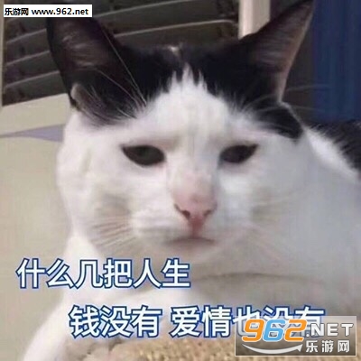 ����ôɵfufu����è�������ͼ0