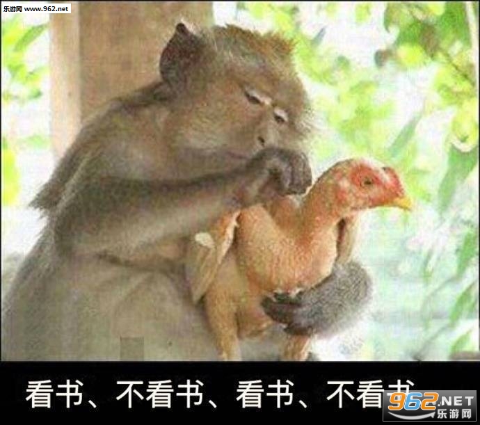 ���Ӱμ�ë��������������ϵ�б������ͼ0
