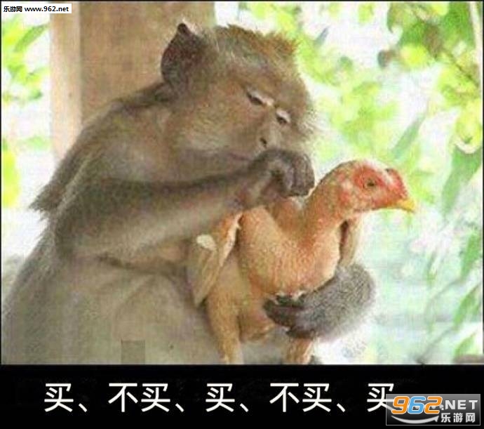 ���Ӱμ�ë��������������ϵ�б������ͼ1