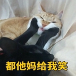 ��˵�⻰�Ҷ����������