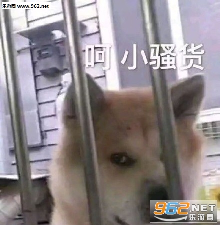 我是不是你的小公举猪猪表情包截图0