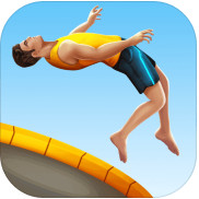 Flip Master(��ת��ʦ���İ�)