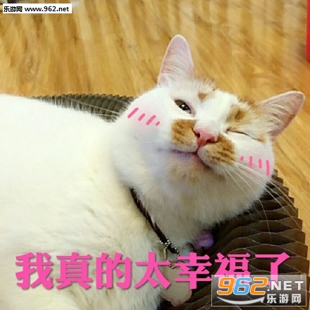 �����̫�Ҹ�����èwink�������ͼ0