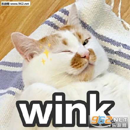 �����̫�Ҹ�����èwink�������ͼ2