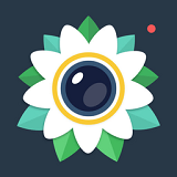 ������ֽ�����