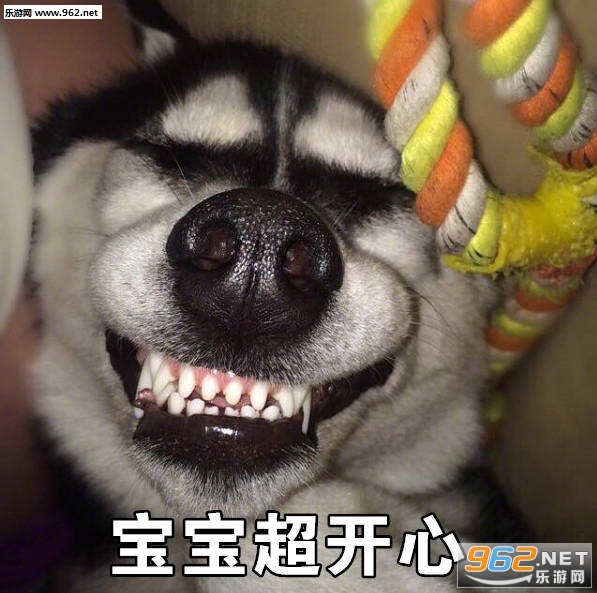 ����ܰ���Ŷ��ʿ����ֱ������ͼ1