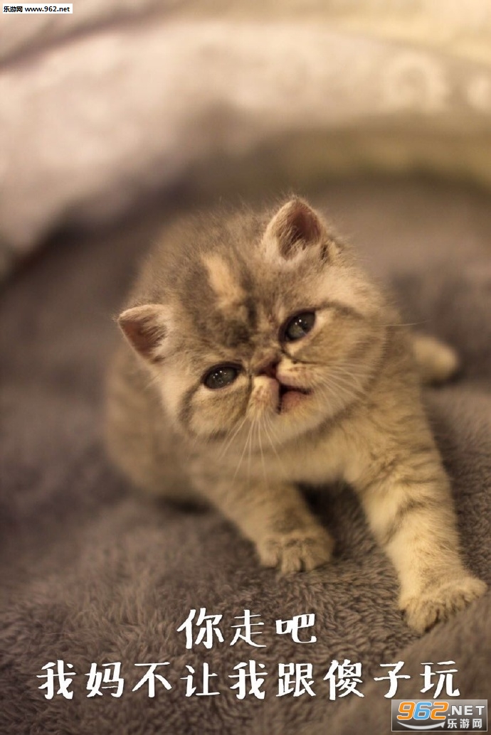 ����һ������ȥ����ܻ����������ͼ1