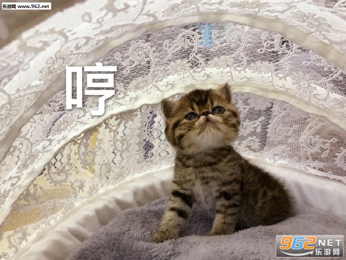 ����һ������ȥ����ܻ����������ͼ2