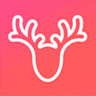 YHOUSE�û�app