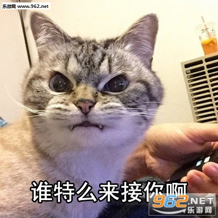 ��ʲô�������Լ�����û��b����ϵ�б������ͼ3