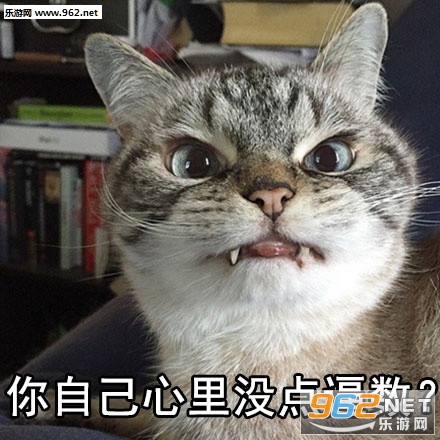 ��ʲô�������Լ�����û��b����ϵ�б������ͼ0