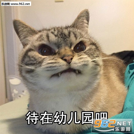 ��ʲô�������Լ�����û��b����ϵ�б������ͼ1