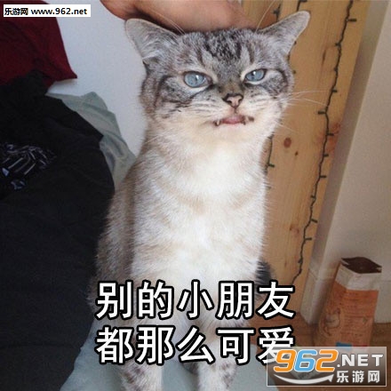 ��ʲô�������Լ�����û��b����ϵ�б������ͼ2