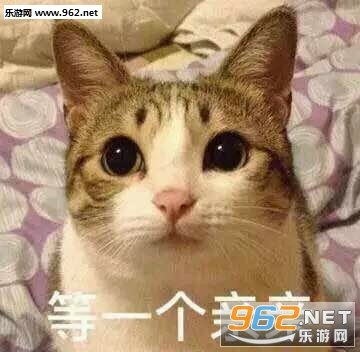 你的小可爱突然出现吸猫表情包截图3