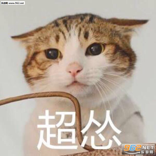 你的小可爱突然出现吸猫表情包截图5