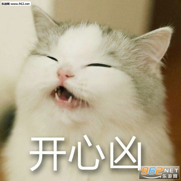 你的小可爱突然出现吸猫表情包截图6