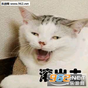 你的小可爱突然出现吸猫表情包截图8