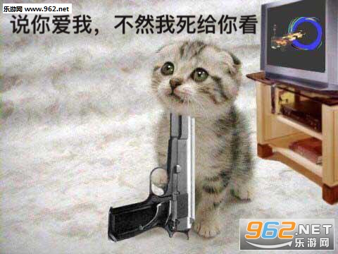 你的小可爱突然出现吸猫表情包截图0