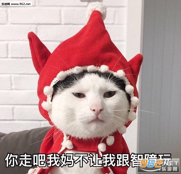 你的小可爱突然出现吸猫表情包截图1