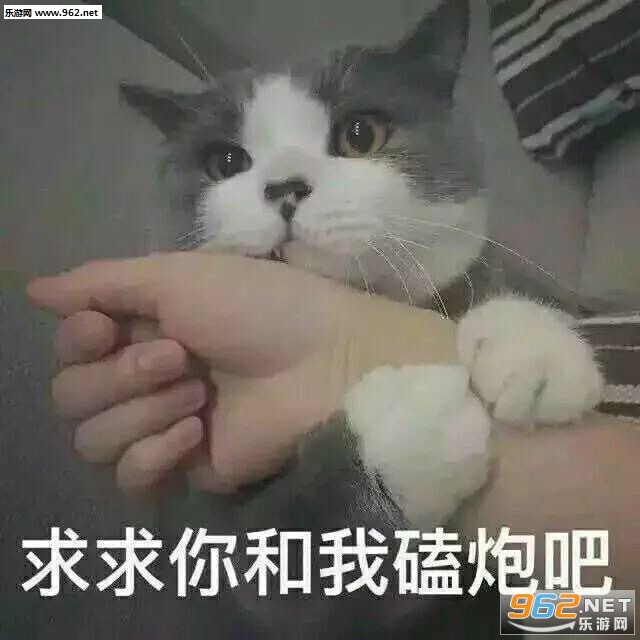 你的小可爱突然出现吸猫表情包截图2