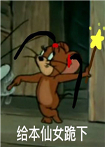 ������Ů����è����������