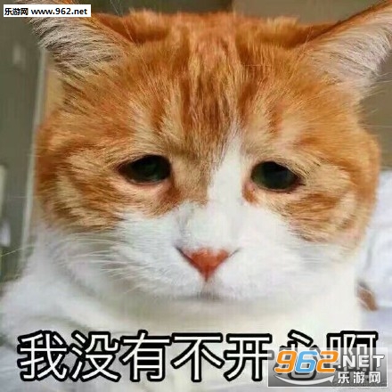 ������д�Ÿ�����è�������ͼ0