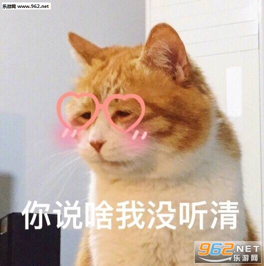 ������д�Ÿ�����è�������ͼ1