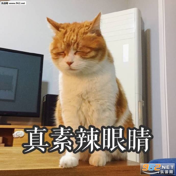 ������д�Ÿ�����è�������ͼ2
