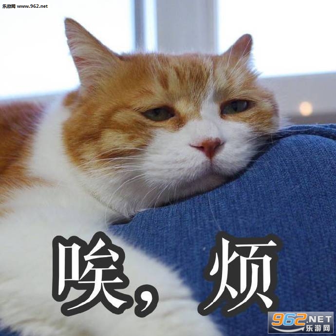 ������д�Ÿ�����è�������ͼ4