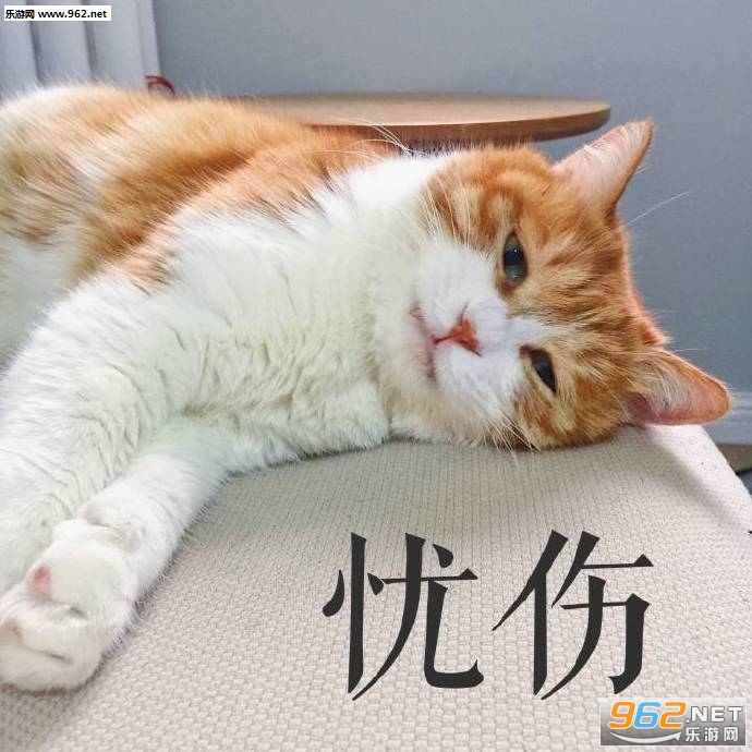 ������д�Ÿ�����è�������ͼ5