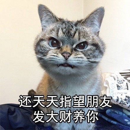 ������˭��ô�����㰡����û����������