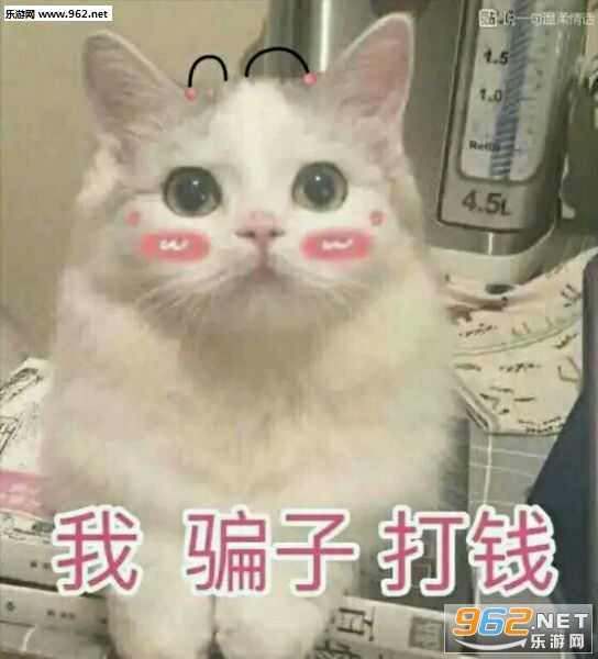 ��Ů洴�Ǯ�������ͼ1